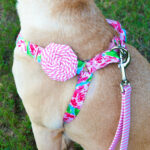 Crochet Dog Collar Flower Pattern Ideas Picture