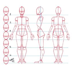 anime-character-design-sheet-template