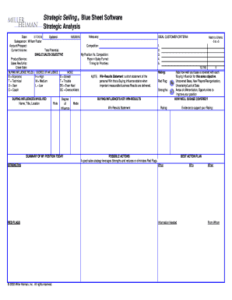 blue-sheet-miller-heiman-template