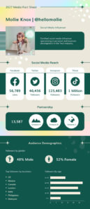 media-kit-fact-sheet-template