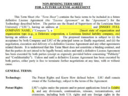 non-binding-term-sheet-template