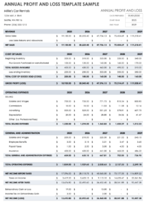 profit-and-loss-and-balance-sheet-template