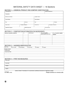sds-safety-data-sheet-template