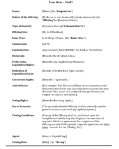 seed-investment-term-sheet-template