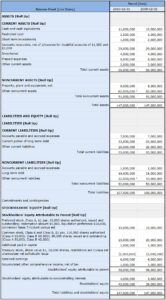 us-gaap-balance-sheet-template