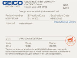 Free  Car Insurance Document Template Doc