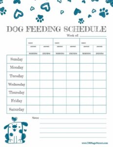 Printable Pet Feeding Chart Template printable-pet-feeding-chart-template