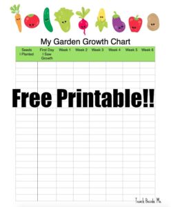 Printable Plant Growth Chart Template printable-plant-growth-chart-template