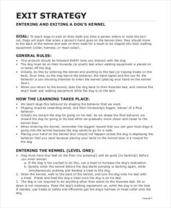Exit Strategy Document Template exit-strategy-document-template