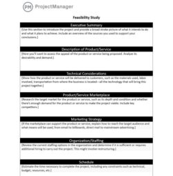feasibility-study-document-template